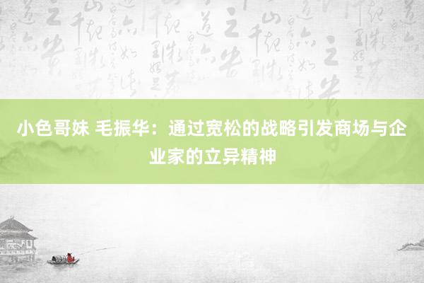 小色哥妹 毛振华：通过宽松的战略引发商场与企业家的立异精神
