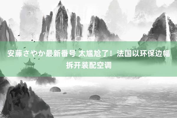 安藤さやか最新番号 太尴尬了！法国以环保边幅拆开装配空调