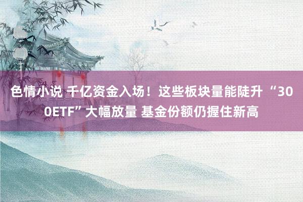 色情小说 千亿资金入场！这些板块量能陡升 “300ETF”大幅放量 基金份额仍握住新高