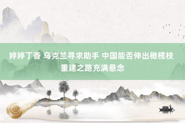 婷婷丁香 乌克兰寻求助手 中国能否伸出橄榄枝 重建之路充满悬念