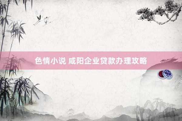 色情小说 咸阳企业贷款办理攻略