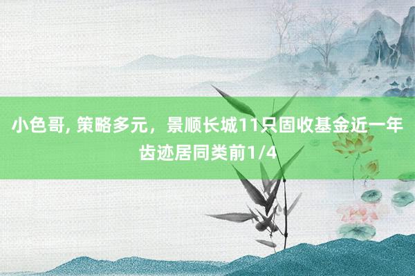 小色哥, 策略多元，景顺长城11只固收基金近一年齿迹居同类前1/4