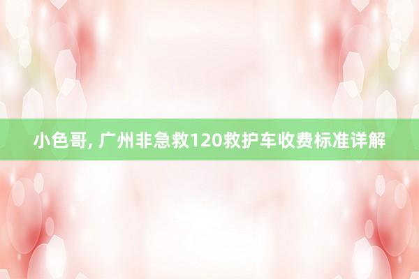小色哥, 广州非急救120救护车收费标准详解