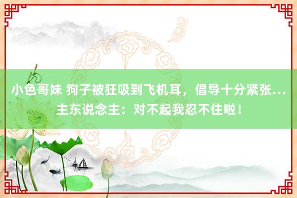 小色哥妹 狗子被狂吸到飞机耳，倡导十分紧张…主东说念主：对不起我忍不住啦！