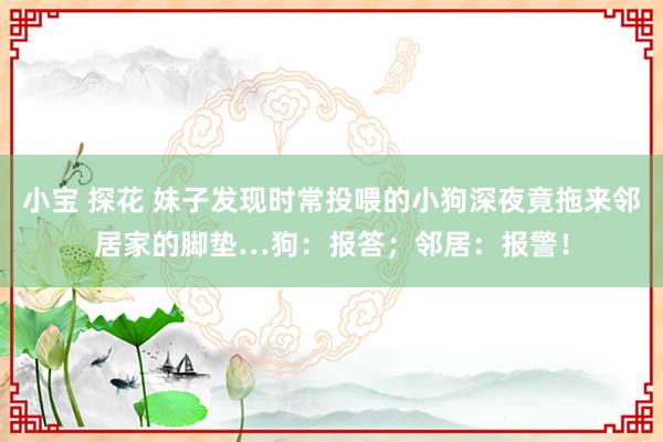 小宝 探花 妹子发现时常投喂的小狗深夜竟拖来邻居家的脚垫…狗：报答；邻居：报警！
